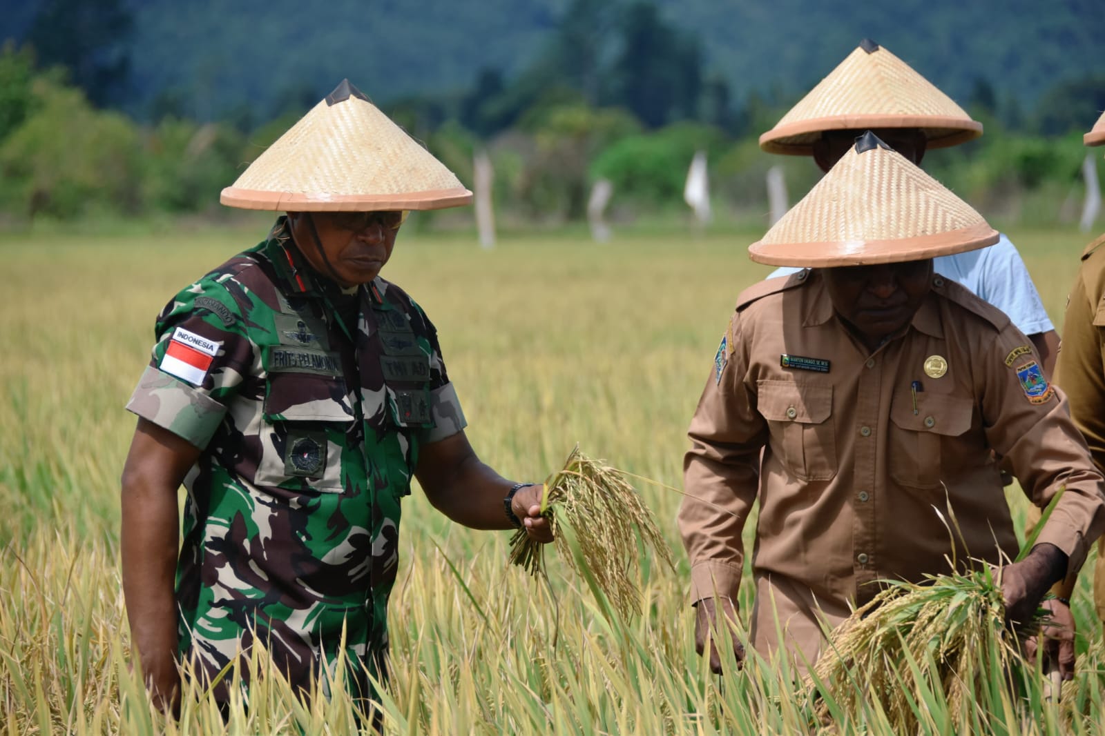 Komandan Korem 173/Praja Vira Braja (PVB), Brigjen TNI. Frits W.R. Pelamonia dan Marthen Ukago (Staf Ahli Bidang Pemerintahan Politik & Hukum Setda provinsi Papua Tengah), melaksanakan kegiatan Panen Raya Padi di Kampung Bumi Raya, Distrik Nabire Barat, Kabupaten Nabire, provinsi Papua Tengah, Selasa (5/8/2025).