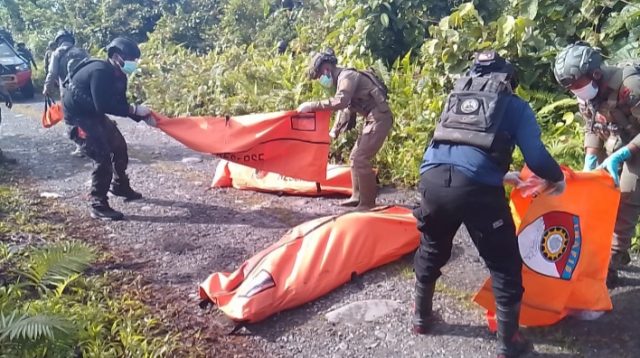 Screenshot 20250926 155917 Gallery