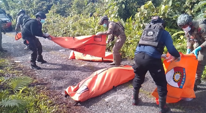 Screenshot 20250926 155917 Gallery