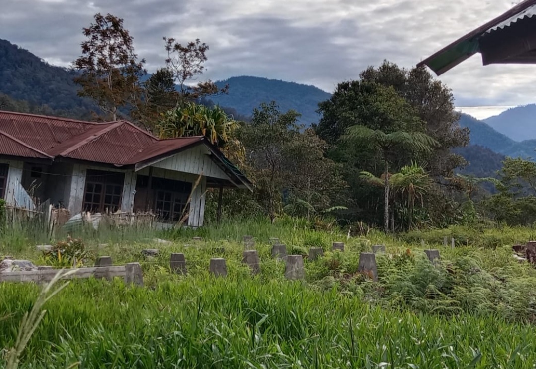 Screenshot 20260209 144143 WhatsAppBusiness