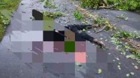 Screenshot 20260711 204301 Gallery