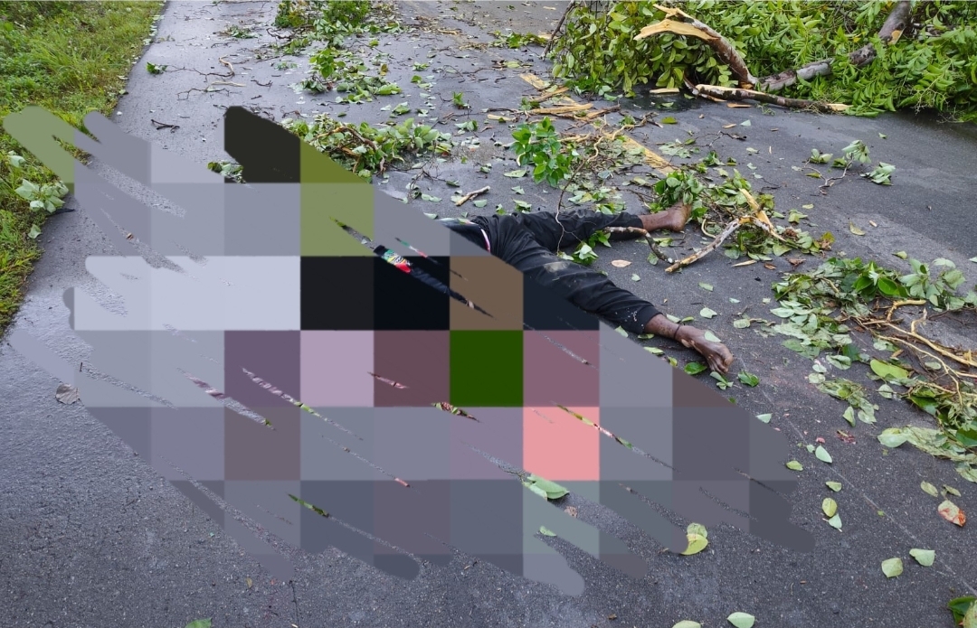 Screenshot 20260711 204301 Gallery
